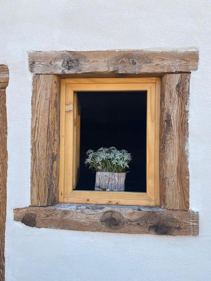 The Wooden House Διαμέρισμα Valle di Cadore Εξωτερικό φωτογραφία